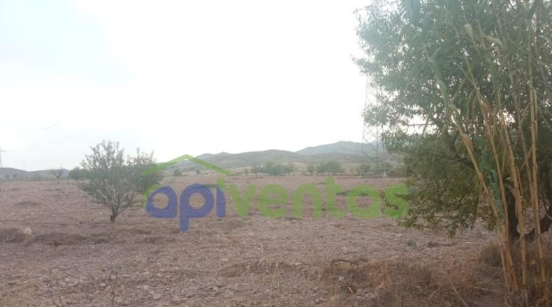 Almería - Albox - 16534m2