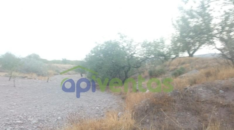 Almería - Albox - 16534m2