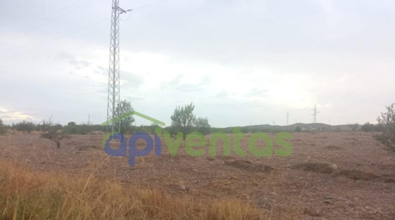 Almería - Albox - 16534m2