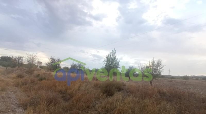 Almería - Albox - 16534m2