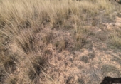 Sòl urbà en venda a la España, Fuentealbilla, ref.: TR126427 foto