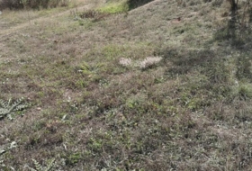 Fuentealbilla 4040&nbsp;m² 