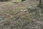 Sòl urbà en venda a la España, Fuentealbilla, ref.: TR126427 foto