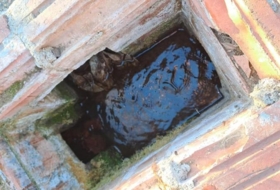 Foto 8