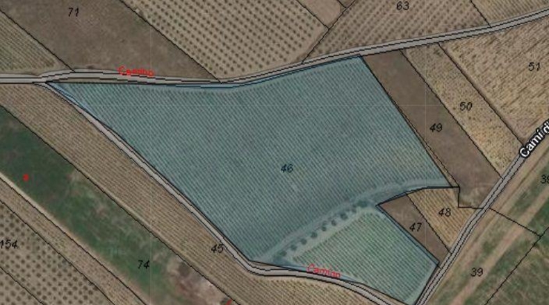 Alicante - Моновар - 40000m2