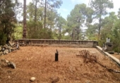 Casa de camp amb terreny en venda a la España, La Guancha, ref.: TR221175 foto