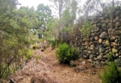 Casa de camp amb terreny en venda a la España, La Guancha, ref.: TR221175 foto