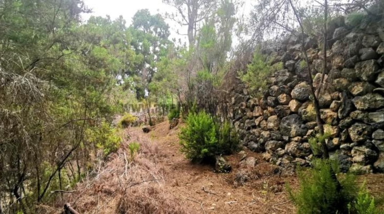 Santa Cruz de Tenerife - La Guancha - 3850m2