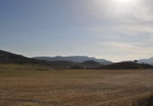 Terreno no urbanizable en venta en la España, Jumilla, ref: TR334580 foto