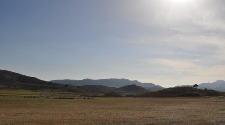 Murcia - Jumella - 115000m2