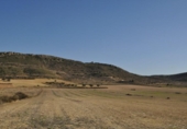 Terreno no urbanizable en venta en la España, Jumilla, ref: TR334580 foto