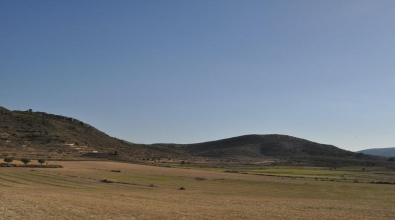 Murcia - Jumella - 115000m2