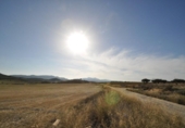 Terreno no urbanizable en venta en la España, Jumilla, ref: TR334580 foto