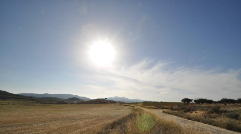 Murcia - Jumella - 115000m2