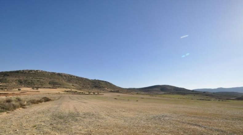 Murcia - Jumella - 115000m2