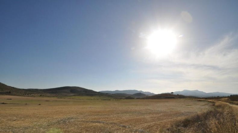 Murcia - Jumella - 115000m2