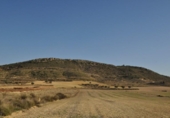Terreno no urbanizable en venta en la España, Jumilla, ref: TR334580 foto