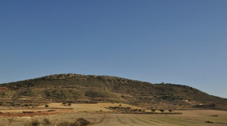 Murcia - Jumella - 115000m2