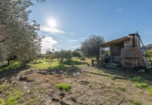 Finca rústica en venda a la España, Molina de Aragón, ref.: TR375850 foto