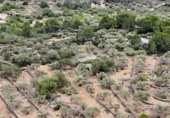 Xalet independent amb terreny en venda a la España, el Perelló, ref.: TR174856 foto