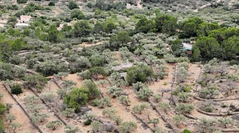 Tarragona - el Perelló - 6479m2