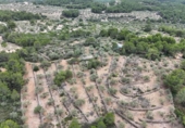Xalet independent amb terreny en venda a la España, el Perelló, ref.: TR174856 foto