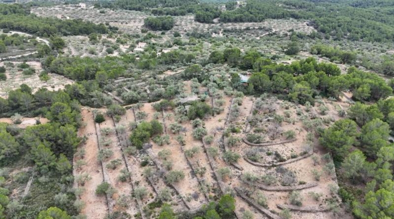 Tarragona - el Perelló - 6479m2