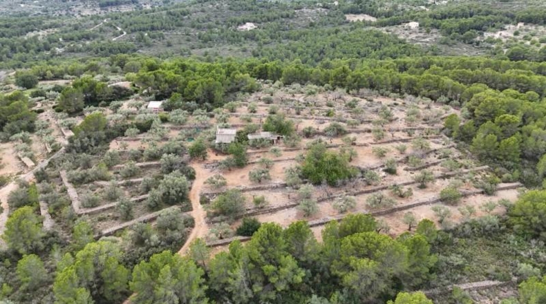 Tarragona - el Perelló - 6479m2