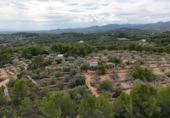 Xalet independent amb terreny en venda a la España, el Perelló, ref.: TR174856 foto