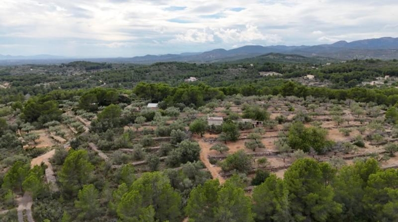 Tarragona - el Perelló - 6479m2