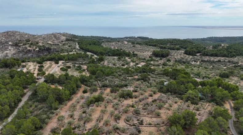 Tarragona - el Perelló - 6479m2