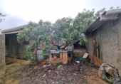 Xalet independent amb terreny en venda a la España, el Perelló, ref.: TR174856 foto