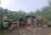 Xalet independent amb terreny en venda a la España, el Perelló, ref.: TR174856 foto
