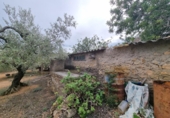 Xalet independent amb terreny en venda a la España, el Perelló, ref.: TR174856 foto