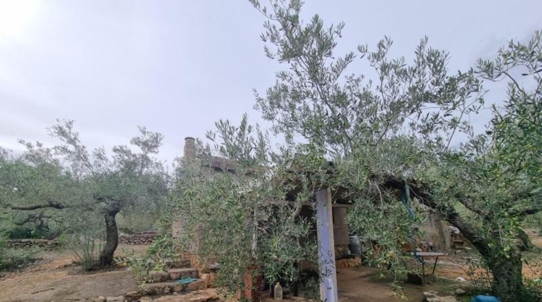 Tarragona - el Perelló - 6479m2
