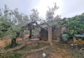 Xalet independent amb terreny en venda a la España, el Perelló, ref.: TR174856 foto