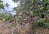 Xalet independent amb terreny en venda a la España, el Perelló, ref.: TR174856 foto