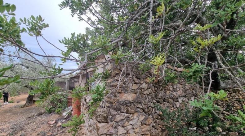 Tarragona - el Perelló - 6479m2
