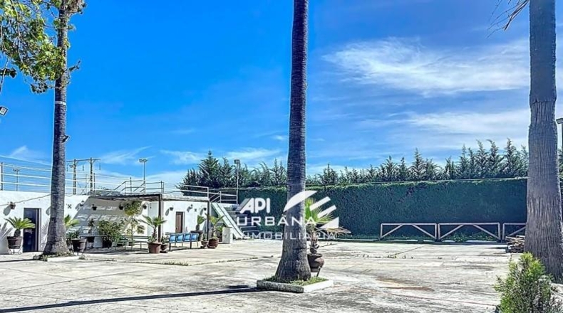 Córdoba - Lucena - 1600m2