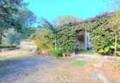Casa de camp amb terreny en venda a la España, l'Aleixar, ref.: TR348999 foto