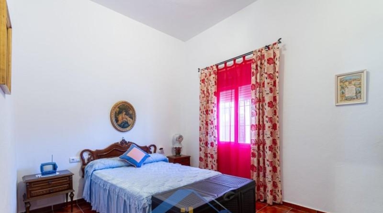 Sevilla - Marchena - 1000m2