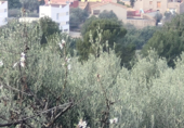 Дом с участком на продажу в городе Sant Joan de Moró Фото