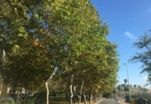 Casa de poble en venda a la España, Còrdova, ref.: TR286023 foto