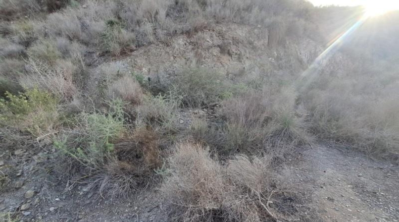 Murcia - Águilas - 406m2