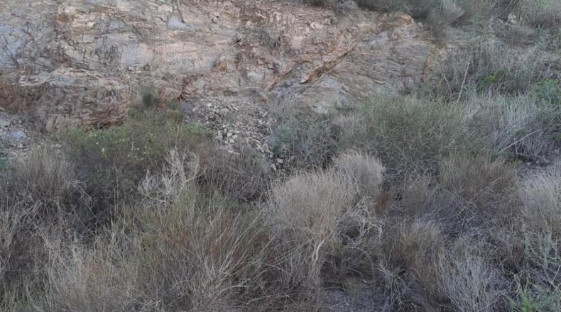 Murcia - Águilas - 406m2