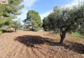 Sòl urbà en venda a la España, la Bisbal del Penedès, ref.: TR178040 foto
