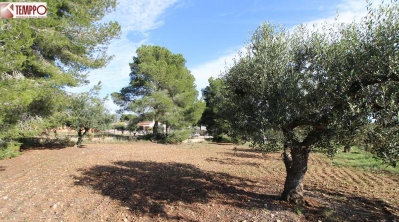 Tarragona - la Bisbal del Penedès - 702m2
