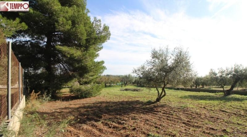 Tarragona - la Bisbal del Penedès - 702m2