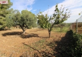 Sòl urbà en venda a la España, la Bisbal del Penedès, ref.: TR178040 foto