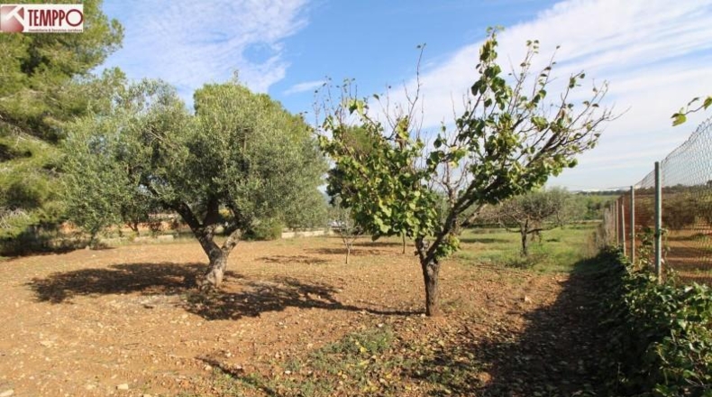 Tarragona - la Bisbal del Penedès - 702m2